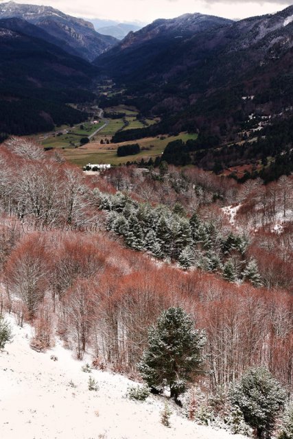 Invierno en Belagua