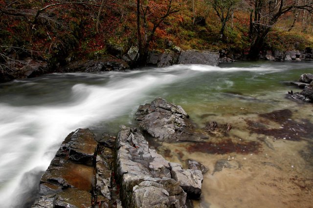 La curva del río