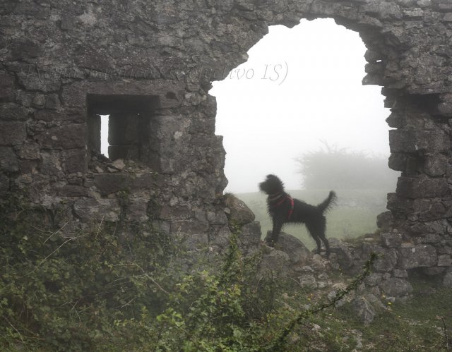 La inquieta en Gazteluzarra