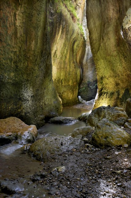 La luces del cañón