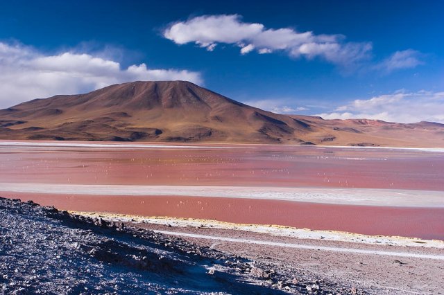 Laguna colorada