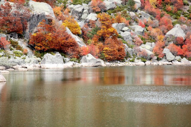 Laguna Negra