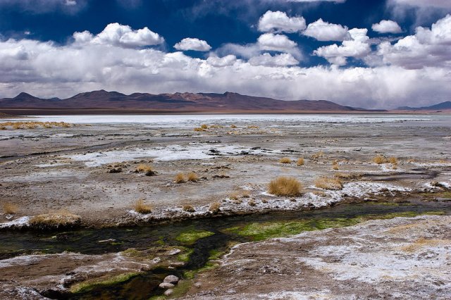 Laguna Salada