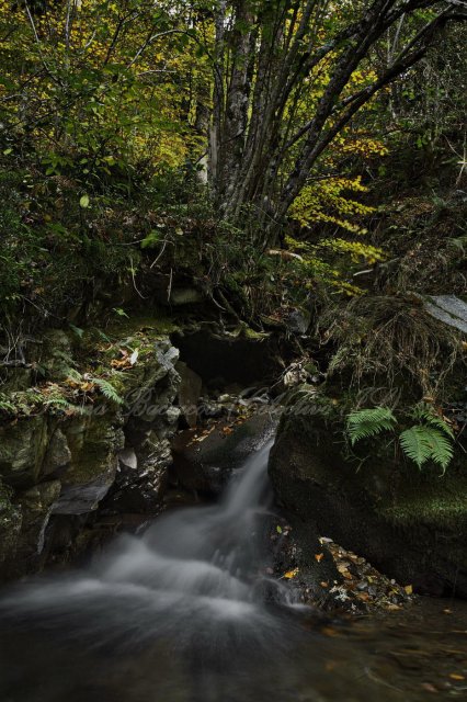 Lugar del Río