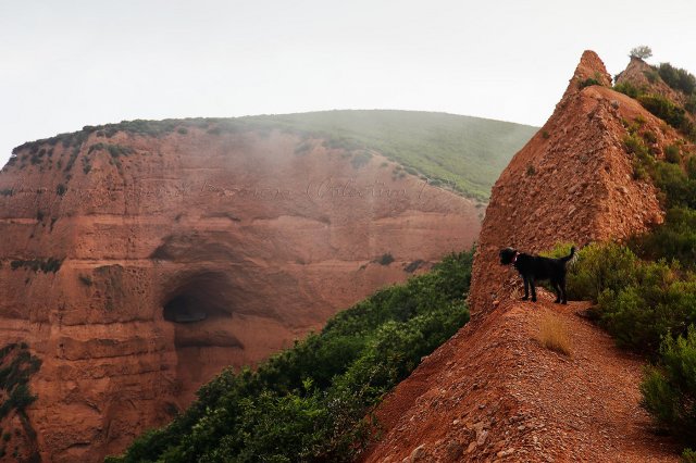 Médulas