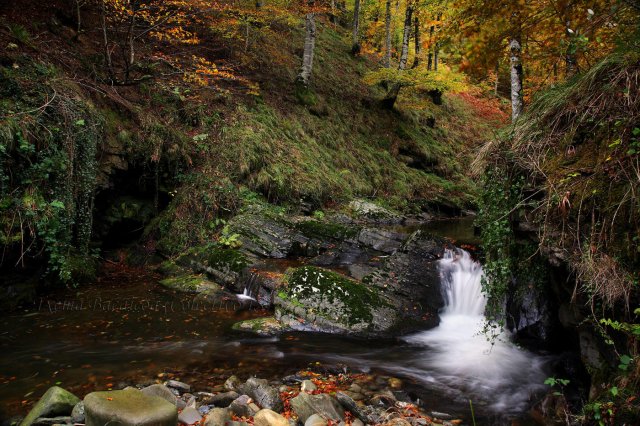 Mis rincones de agua II