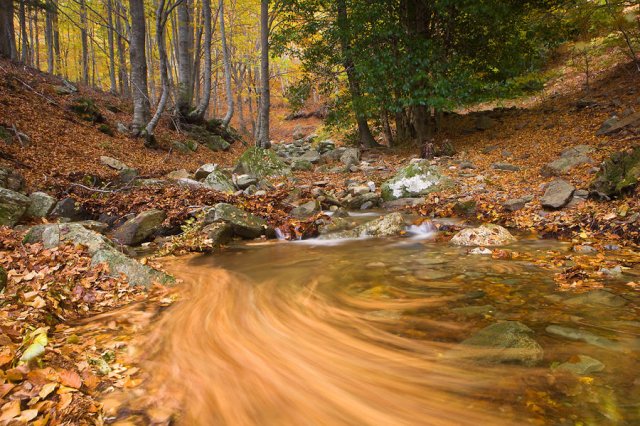 Montseny