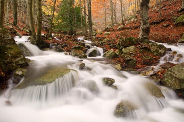 Montseny