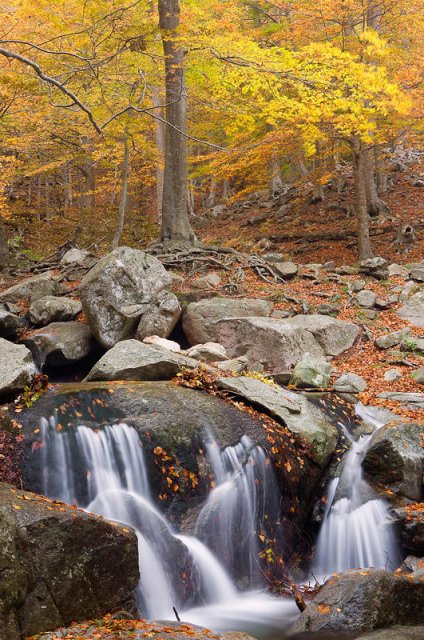 Montseny