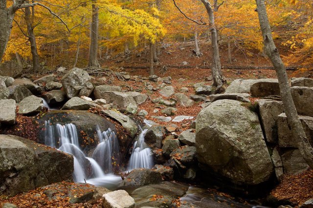 Montseny