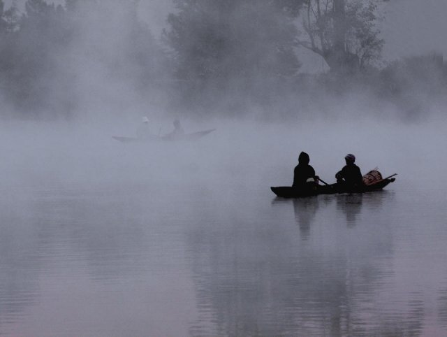 Niebla