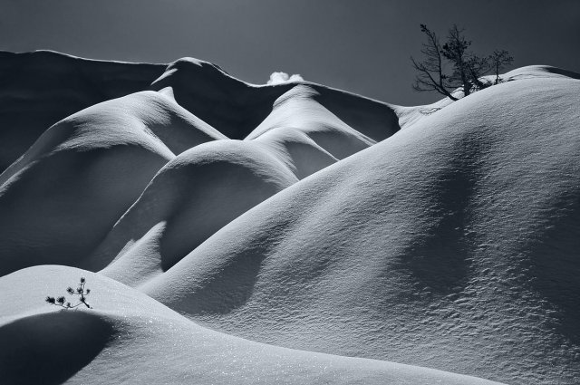 Nieve sobre arcilla. Y dos pinos