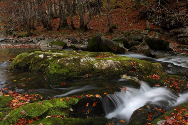 Otoño 2010