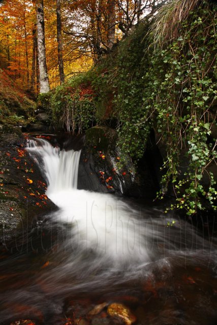 Otoño baztanés