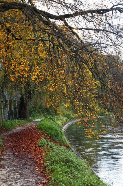 Otoño en Berna