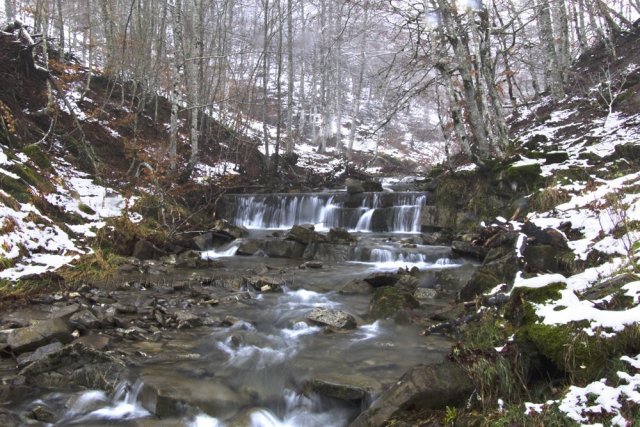 Paisaje con gotas