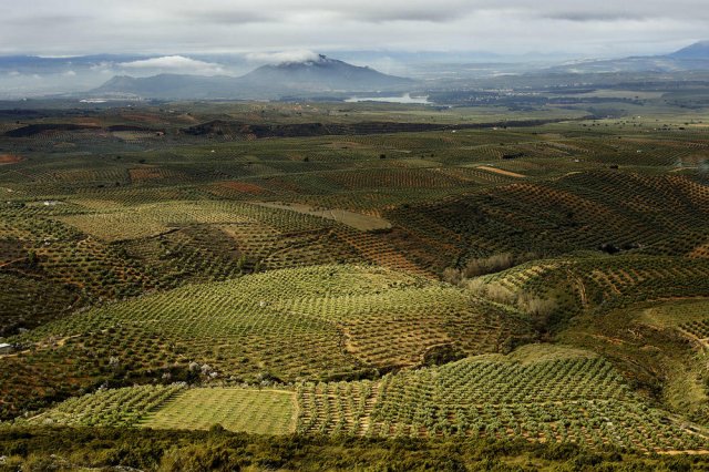 Paisaje granadino (otro mas)