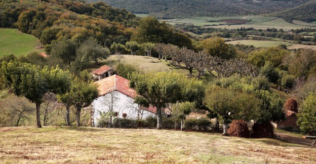 Paisajes de mi tierra