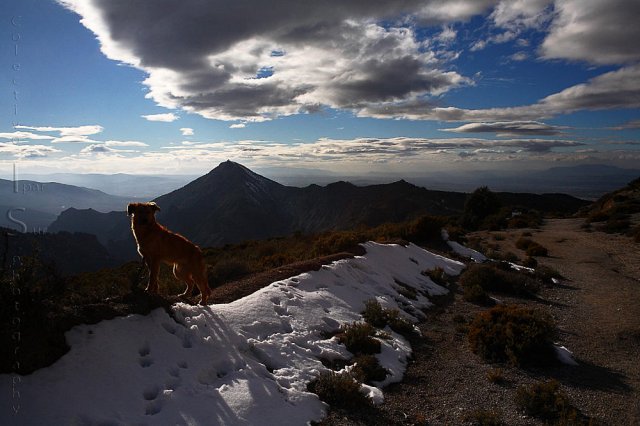 Paseando por la sierra