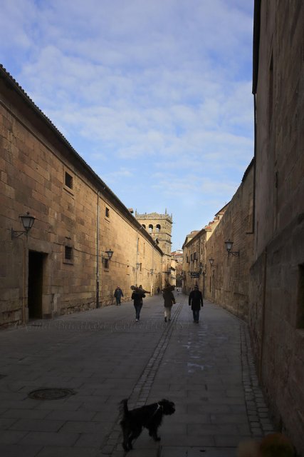 Paseando por Salamanca