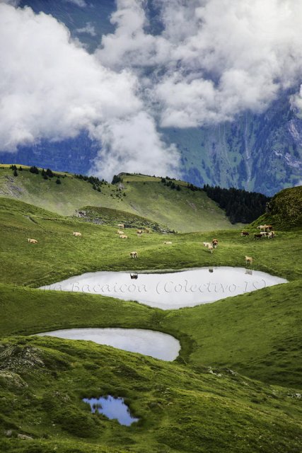 Pastoril en los alpes