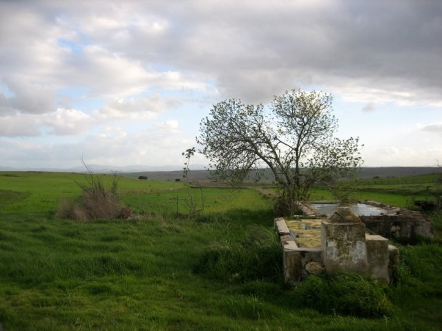 Pilón cerca de Medina de las Torres