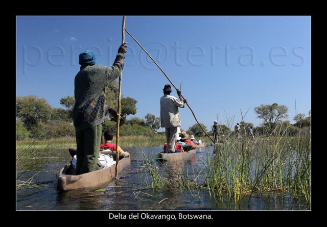 Por el delta del Okavango