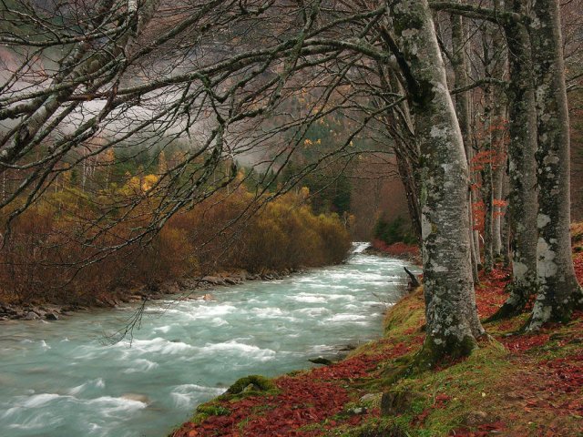 Pradera de Ordesa