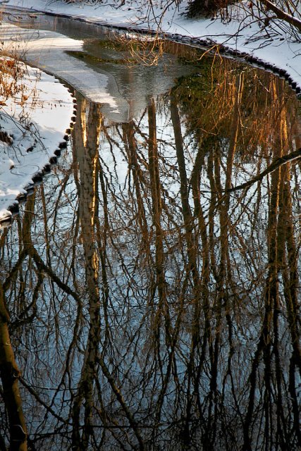 Reflejos en Tiergarten