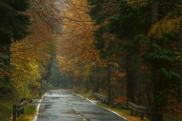 Siga por la carretera