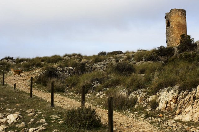 Torre de Cogollos