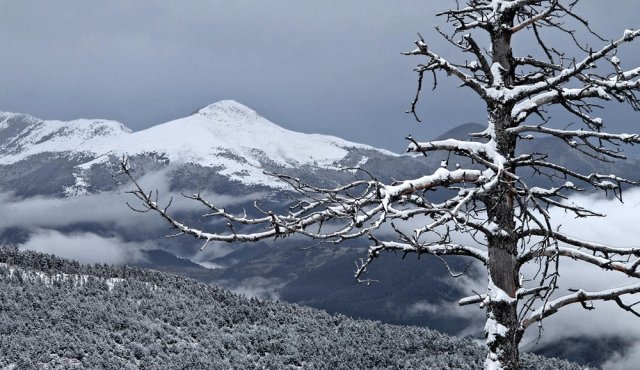 Tras la nevada