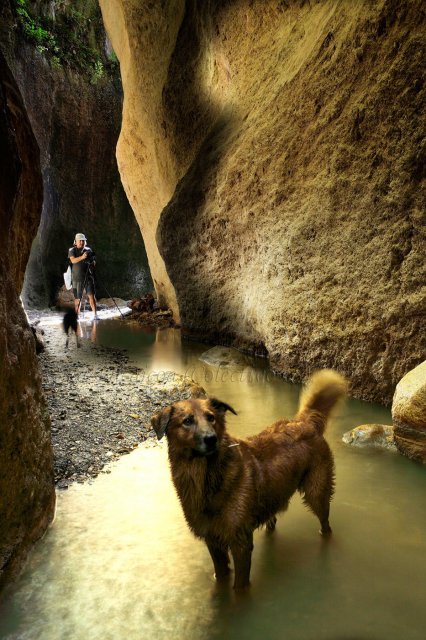 Un posado cañón II