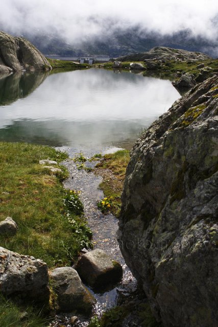 Verde y niebla II