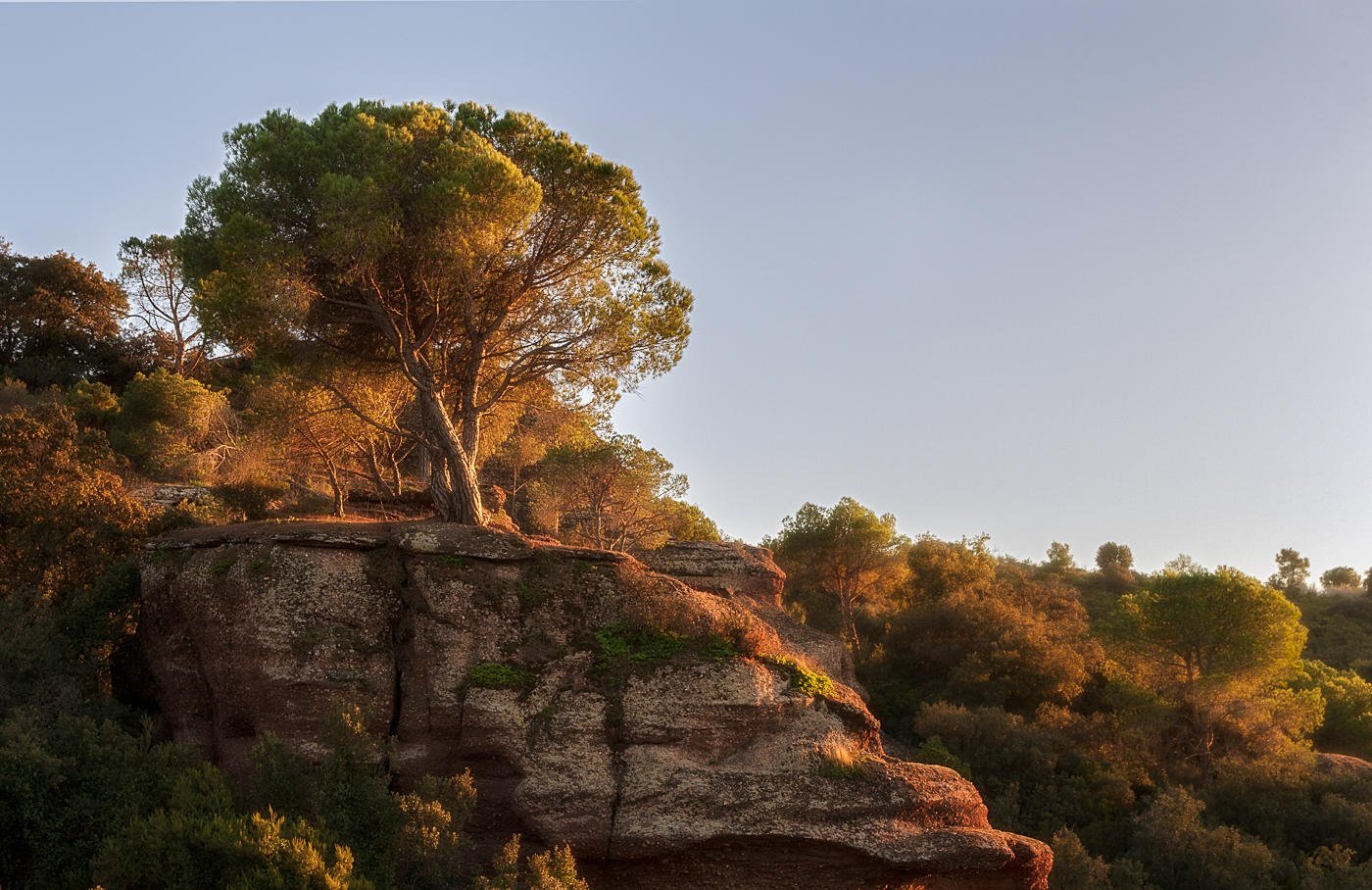 Atardecer (Miguel Angel Vázquez Márquez) Atardecer (Miguel Angel Vázquez Márquez)
