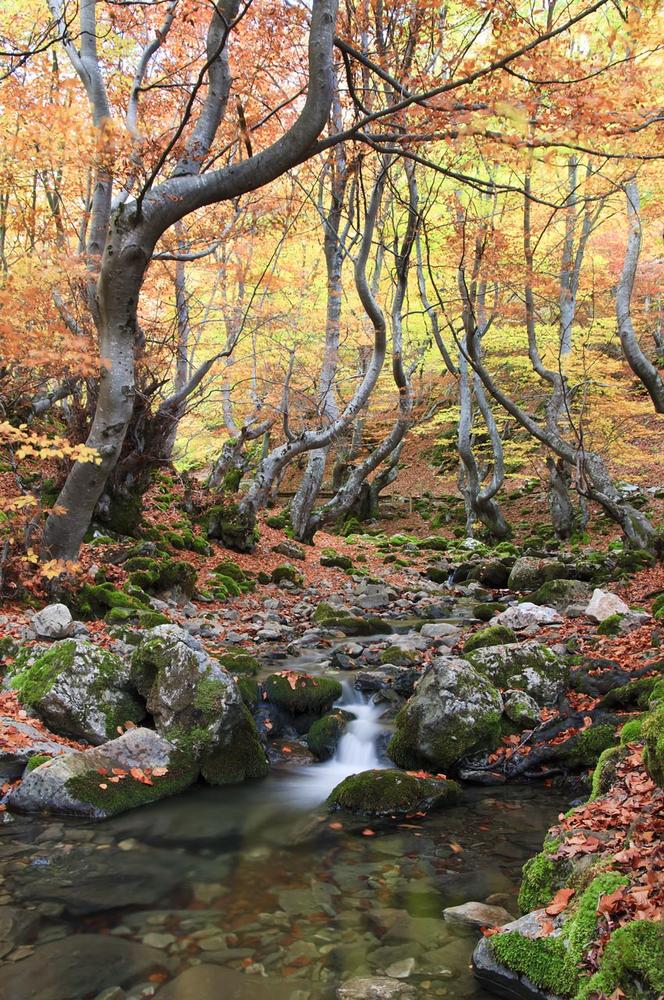 Con ganas de otoño. (Jesús Portal) Con ganas de otoño. (Jesús Portal)