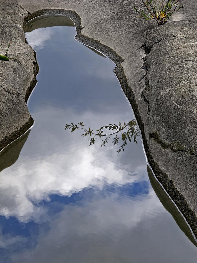 El cielo en la roca (Salvador Solé Soriano) El cielo en la roca (Salvador Solé Soriano)