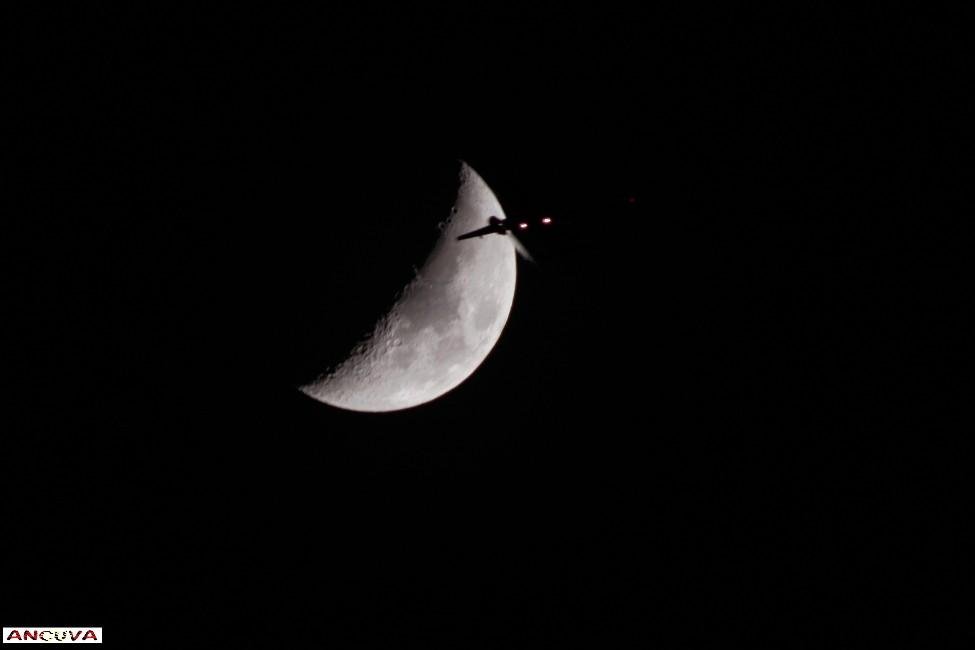 invasion nocturna. (Antonio Cuenca. vaya) invasion nocturna. (Antonio Cuenca. vaya)
