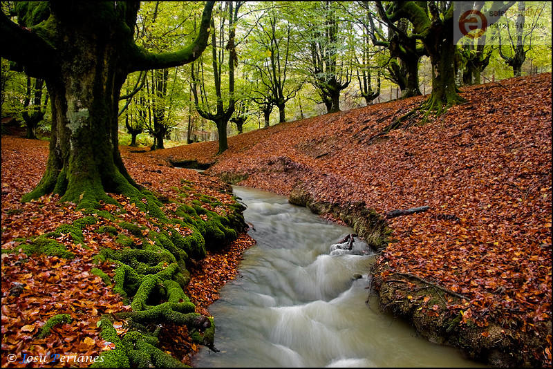 Las arterias de la Tierra (Josu Perianes) Las arterias de la Tierra (Josu Perianes)
