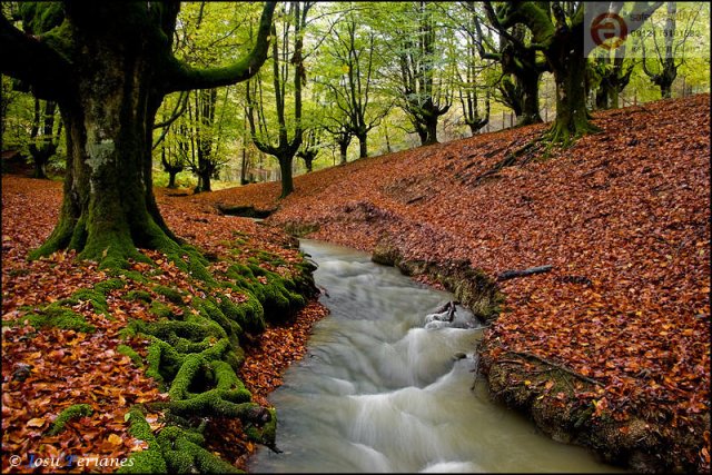 Las arterias de la Tierra