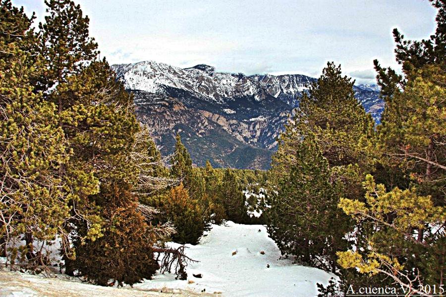primeras nieves. (Antonio Cuenca. vaya) primeras nieves. (Antonio Cuenca. vaya)
